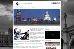 tt-website-design-screenshots14